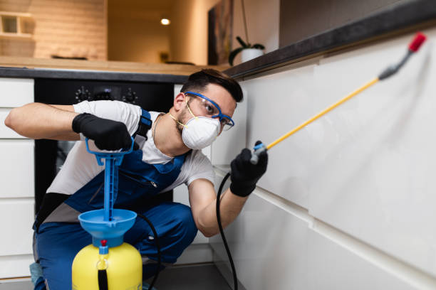 Best Affordable Pest Control Services  in West Bishop, CA
