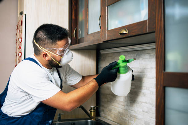 Best Pest Control Near Me  in West Bishop, CA