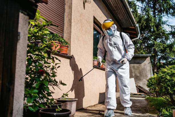 Best Rodent Control Near Me  in West Bishop, CA
