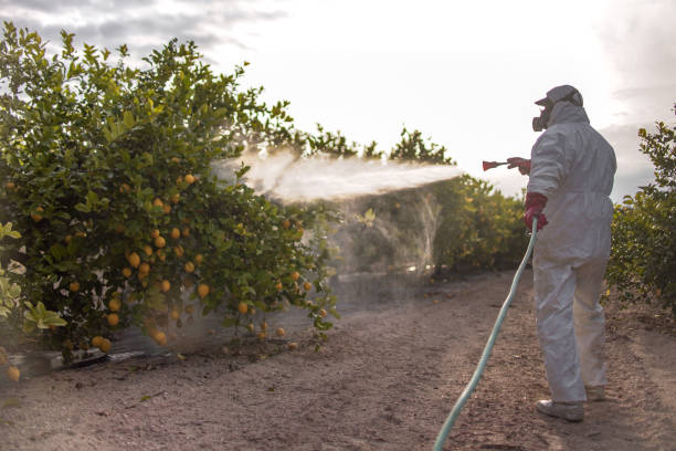 Wildlife Control Services in West Bishop, CA