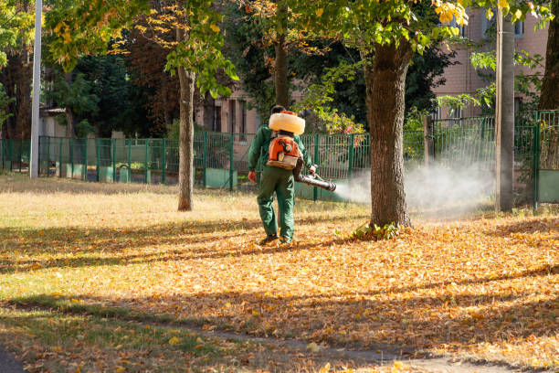  West Bishop, CA Pest Control Pros