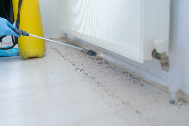 Best Commercial Pest Control Services  in West Bishop, CA